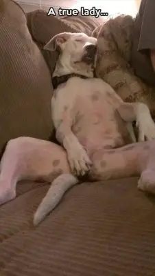 A true lady