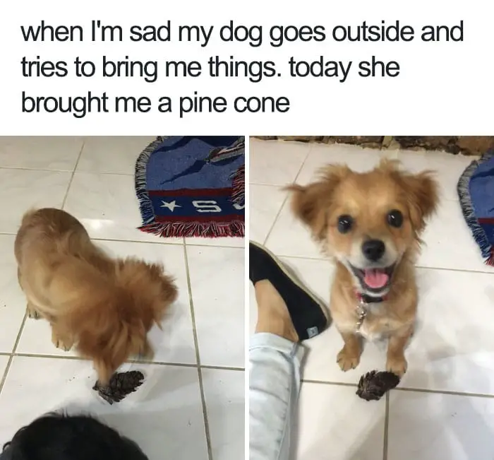 Always There To Cheer You Up