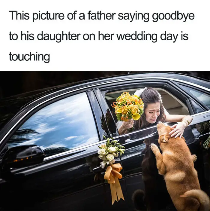 Best Friend