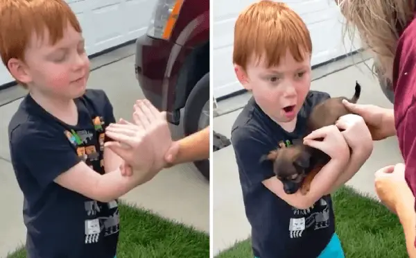 Boy Was Saving Up To Buy Puppy 2