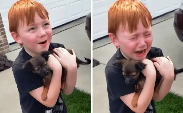 Boy Was Saving Up To Buy Puppy 3