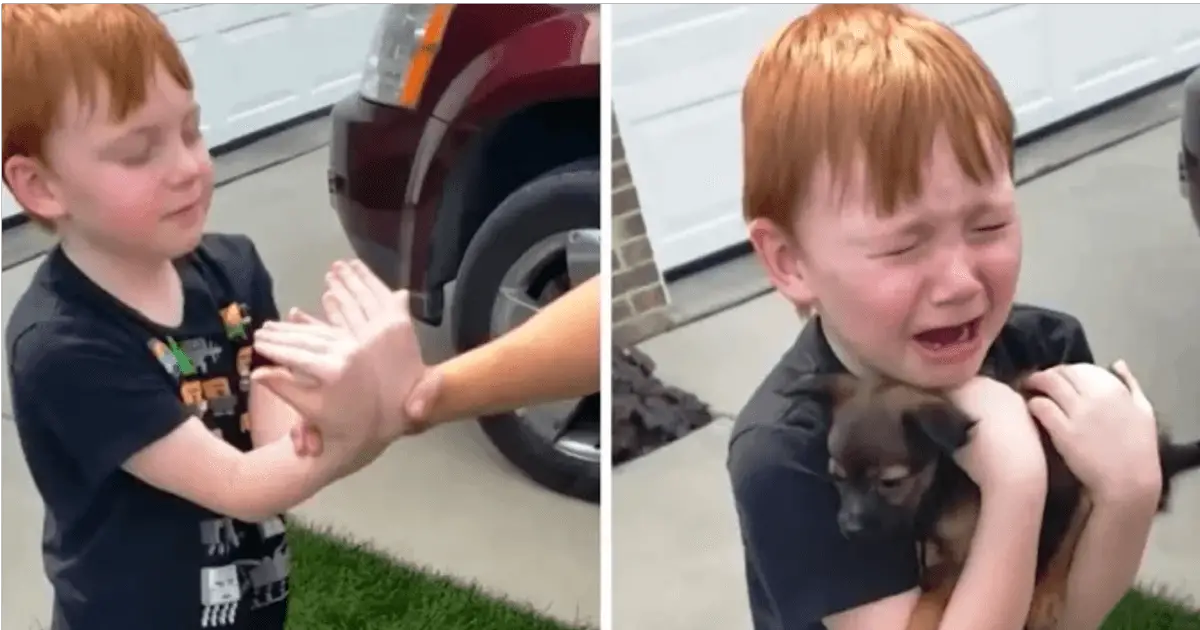 Boy Was Saving Up To Buy Puppy, Grandma Asks Him To Close His Eyes & Stretch His Arms