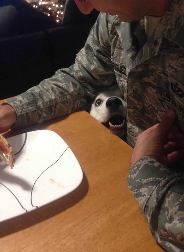 Can… Can I Get Some Of That hoi cham