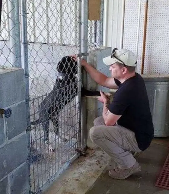 Dog Wants To Give Paw 1