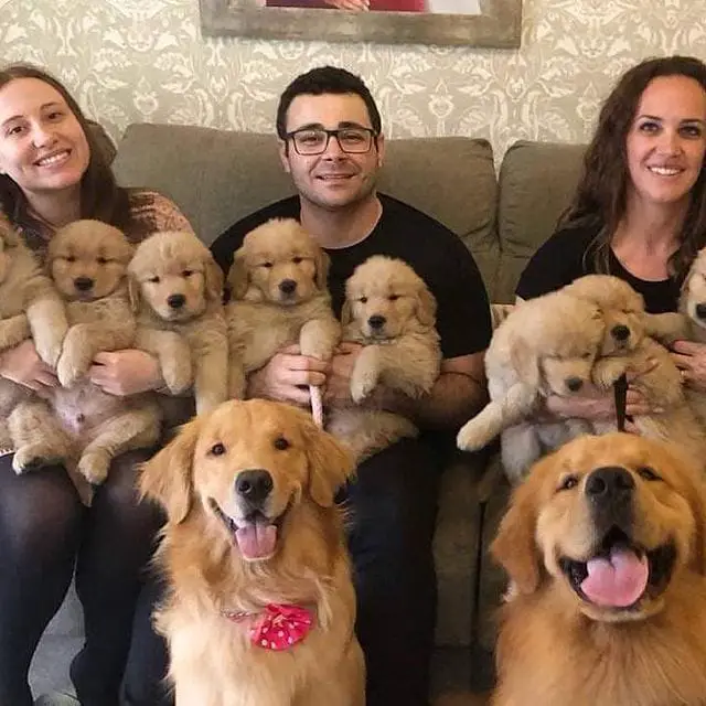 20+ Cute Pictures Of Puppies And Their Mama Dogs 11 Family portrait goals 🥰❤