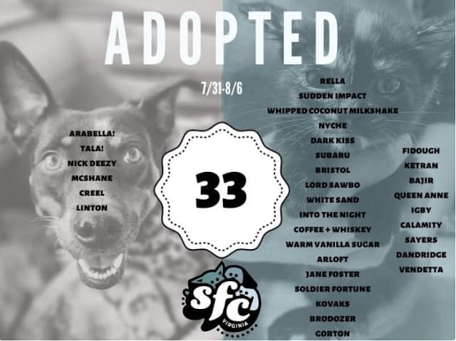 Playful Shelter Dog Arabella Finds the Family She’s Been Waiting For 6 For those talking about Arabellas prowess with stuffed toys shelter staff report that she impressively manages to hold four or five of them at once
