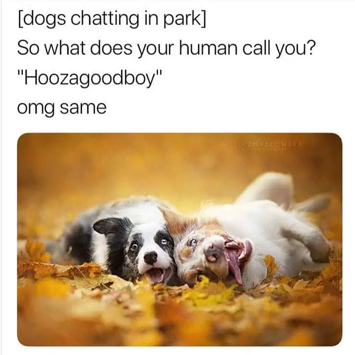 HA😂