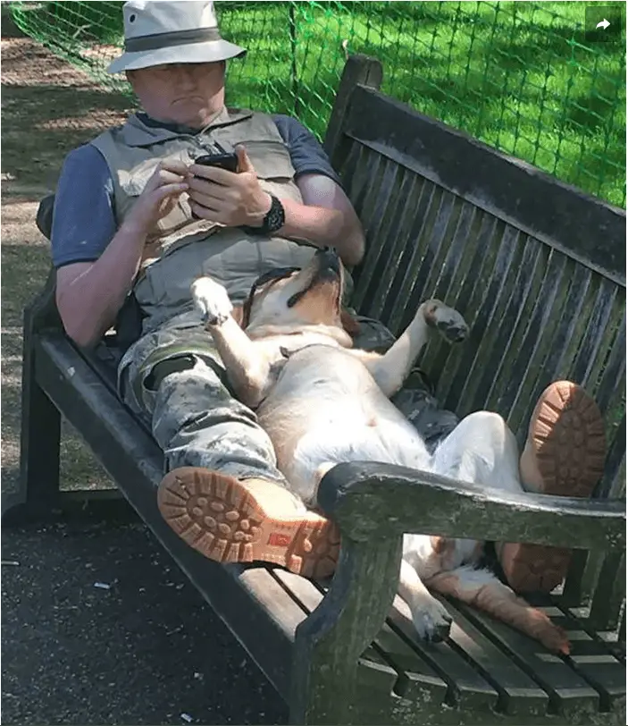 He was tired of Dad scrolling through Tinder