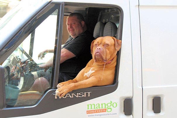 Hey babe hop in