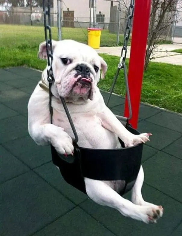 Just chilling… and not sure how to get off this thing