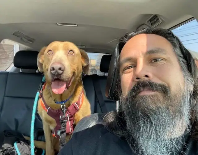 Lost Dog 2