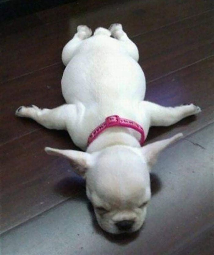 Nap Time