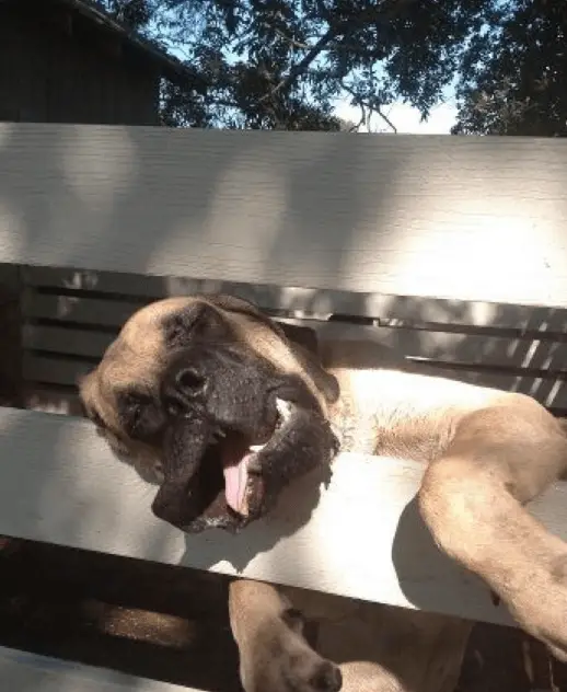 Screenshot 13