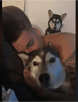 10+ Photo Hilarious Pictures Of Jealous Dogs 5 Screenshot 28