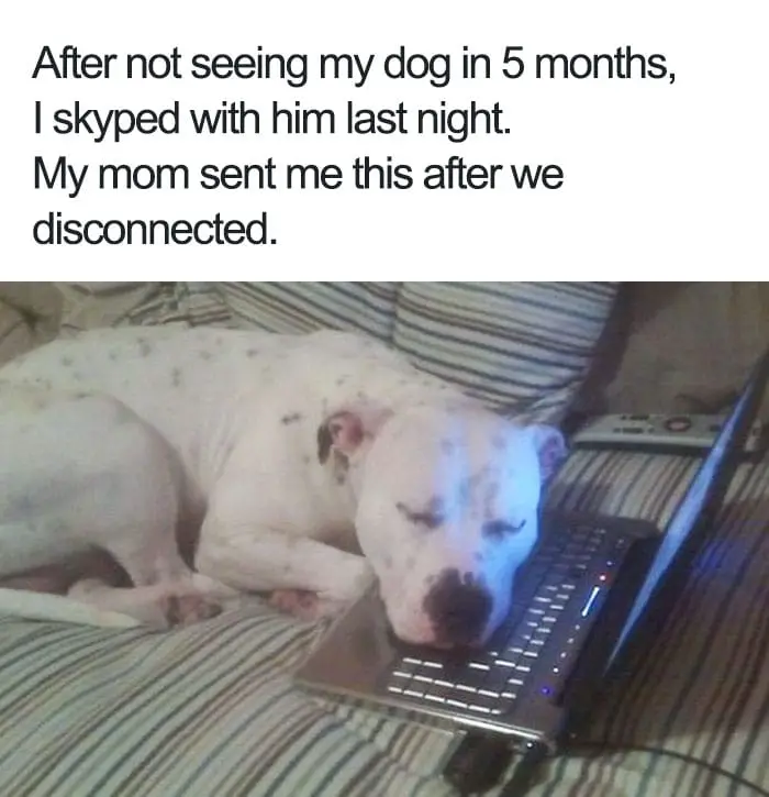 Skype Call With Your Bestest Pal