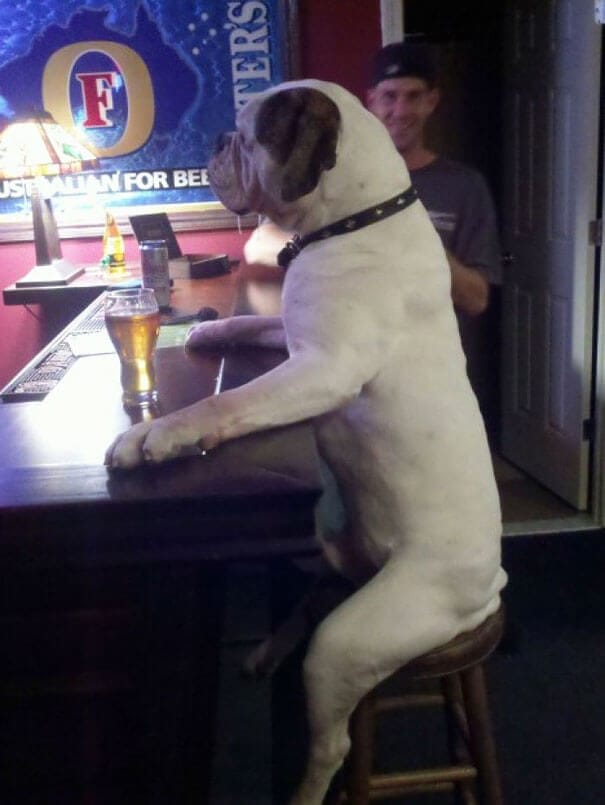 So I told him – keep your treats I wont roll over