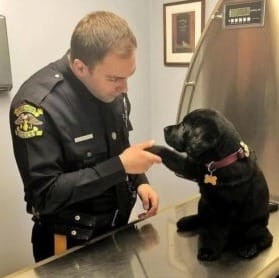 Abandoned Puppy Lucky Begs a Police Officer for a Home with a Look He Can’t Resist 1 The dog approached a nearby police station and begged for assistance