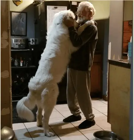 True Love12