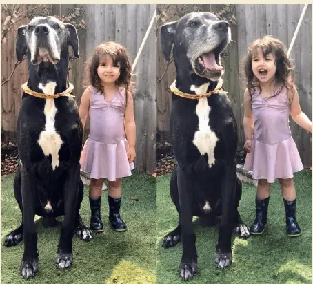 True Love5