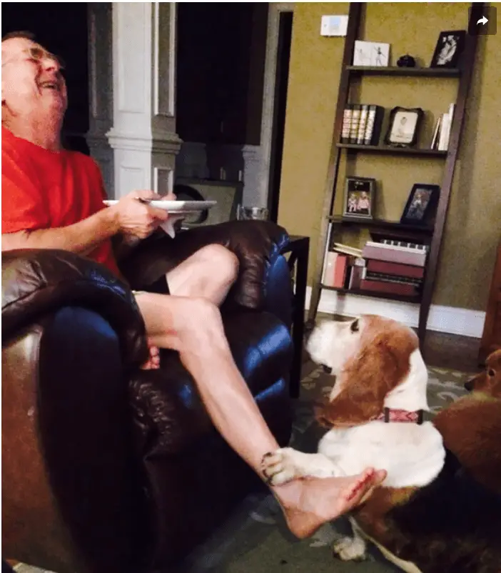What a great photo Love how hes laughing. Gentle paw on the leg dont forget me