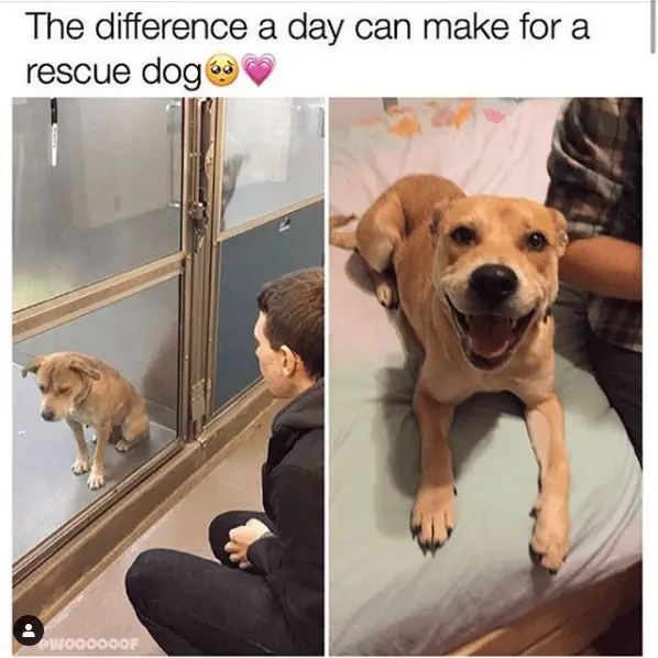 What a sweet smile❤️