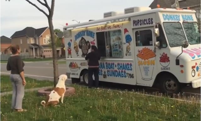 Pit Bull Waits in Line for Ice Cream Just Like a Kid 3 When their time came the dog sat under the glass soon