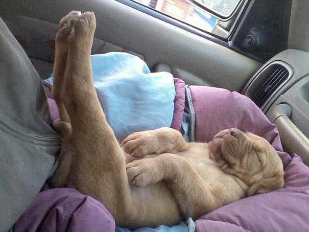 sleep