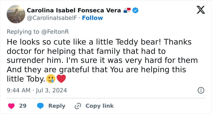 Vet Applauded For Response After Owner Brings In Seven-Week-Old Puppy To Be Put Down