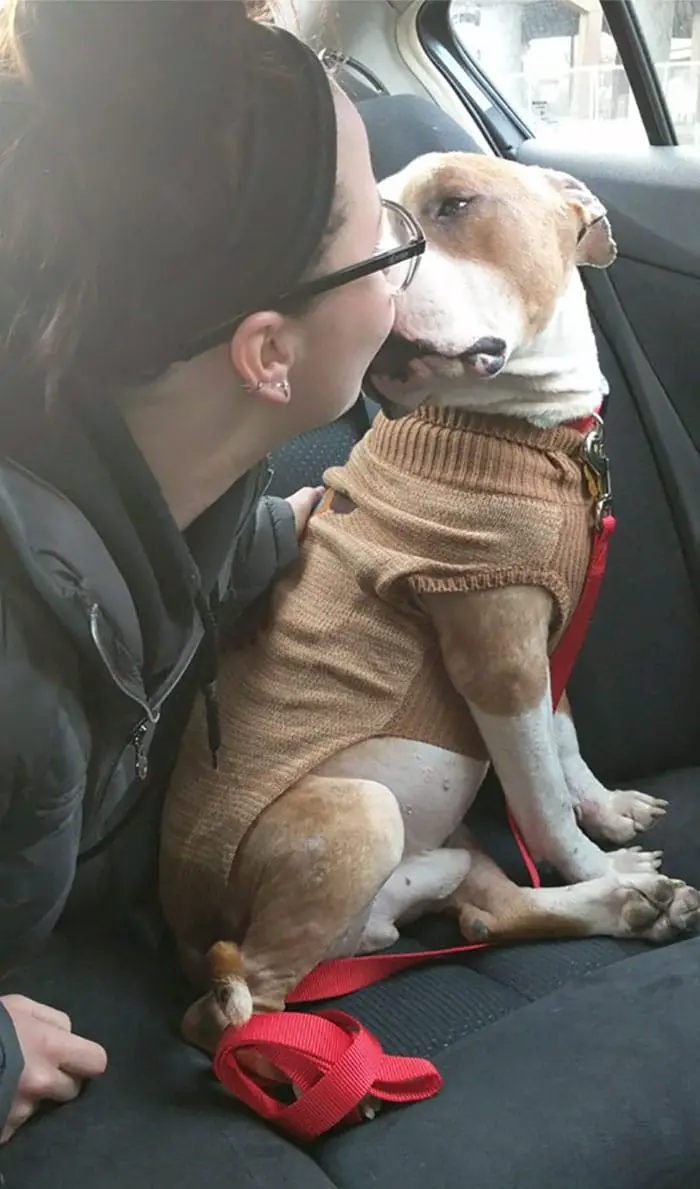 hugging-adopted-pitbull-russ-6
