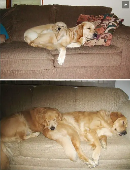 BFF18