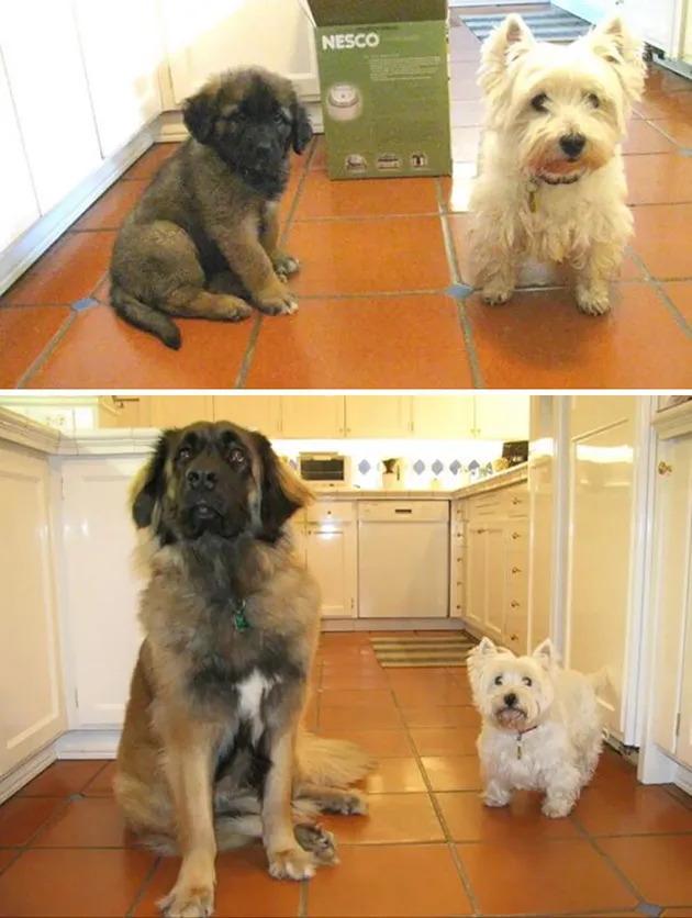 BFF3