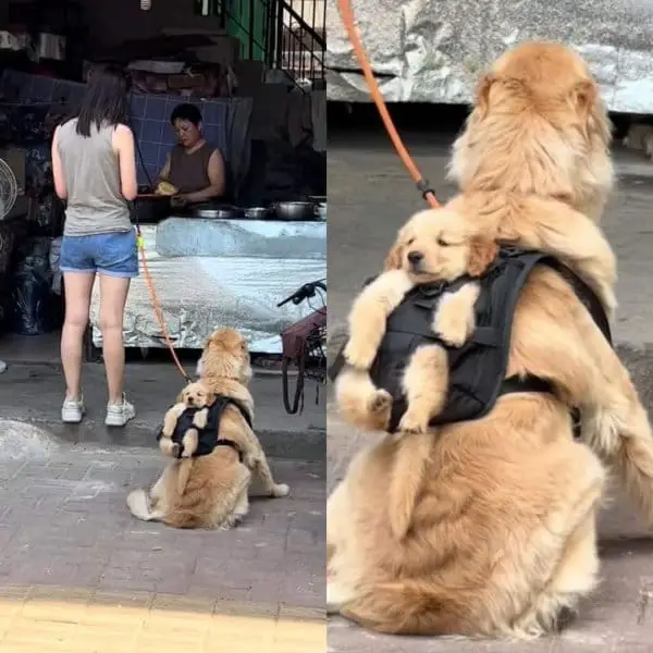 Cutest thing ever