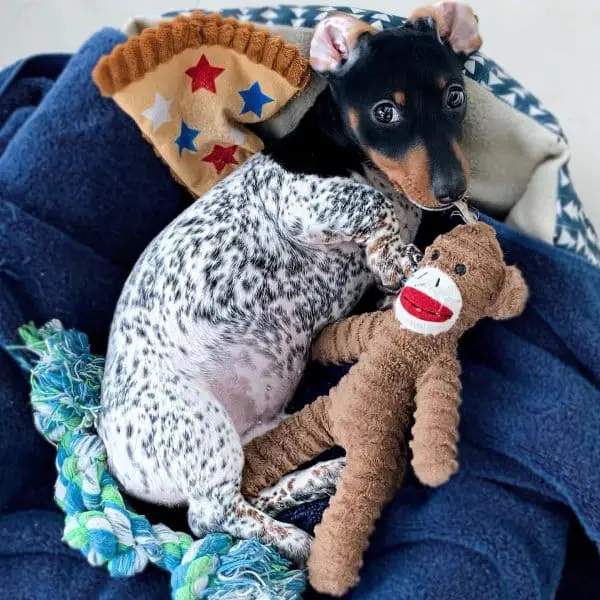 Dont touch my toys