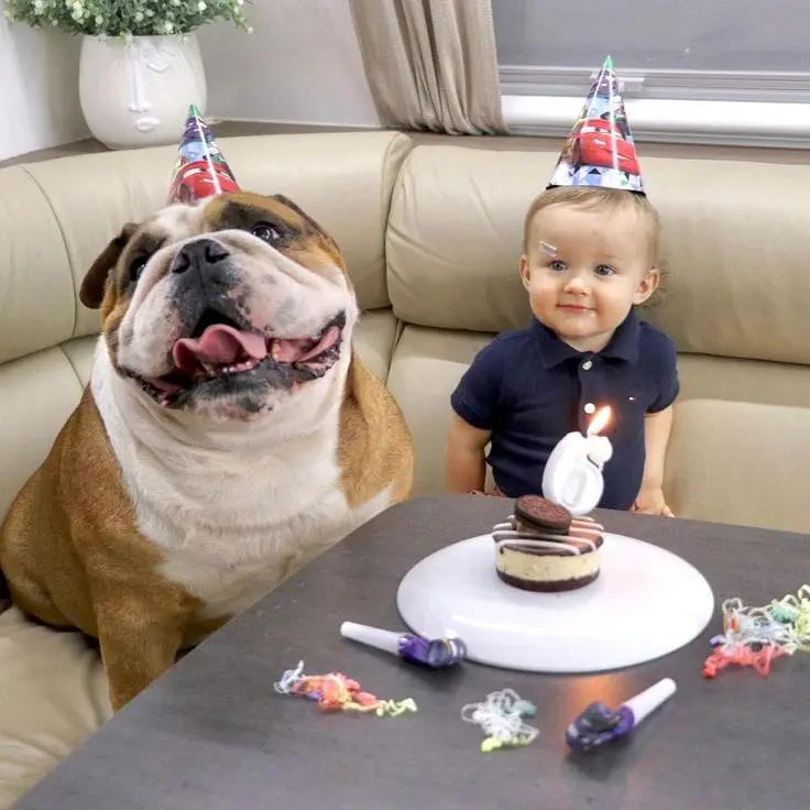 HB my little bro 🐶👶