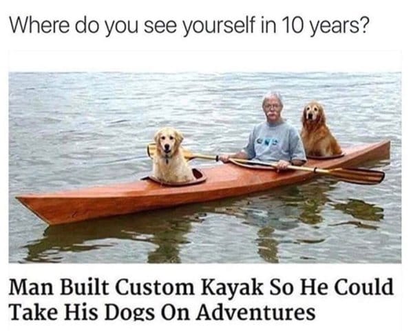25 Hilarious Dog Memes That Will Crack You Up 12 Hilarious Animal Memes13