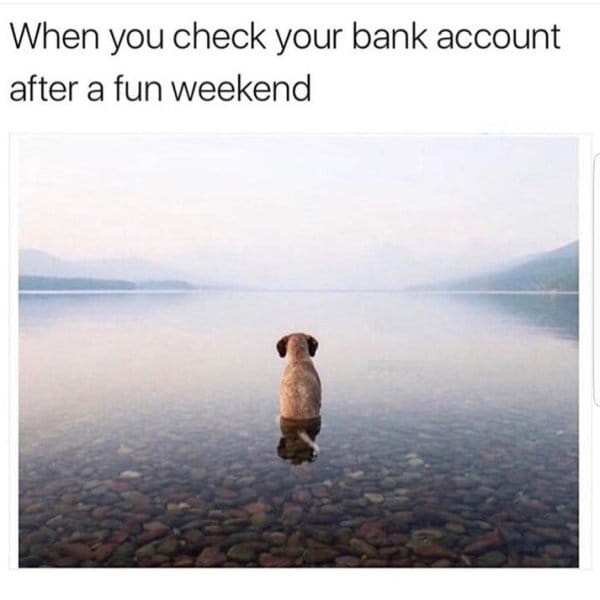 25 Hilarious Dog Memes That Will Crack You Up 6 Hilarious Animal Memes7