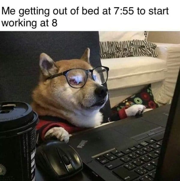Me since the quarantine started 😂
