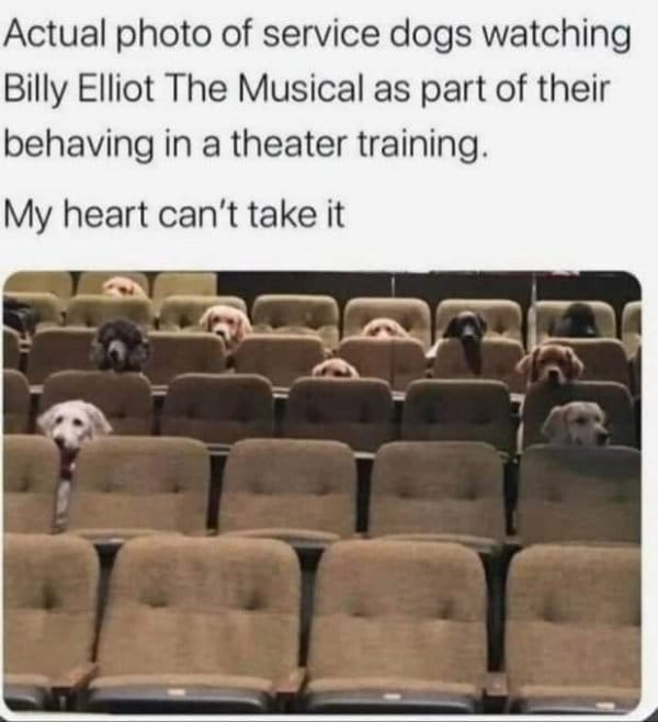 My heart cant take it