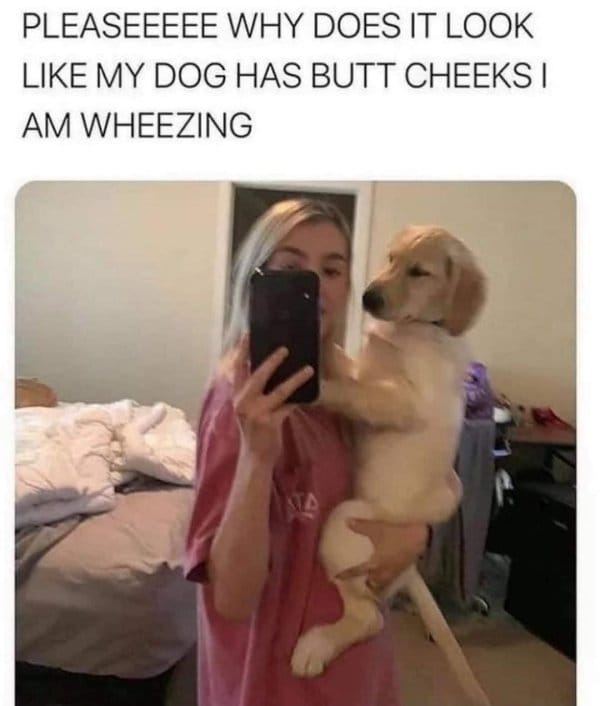 Took us a second 😂