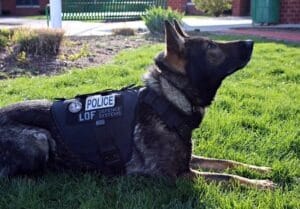 9-Year-Old Raises Nearly $80,000 to Buy Bulletproof Vests for Police Dogs 4 a LOF