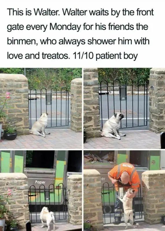 d treatos 1110 patient boy er paper e1732324076406
