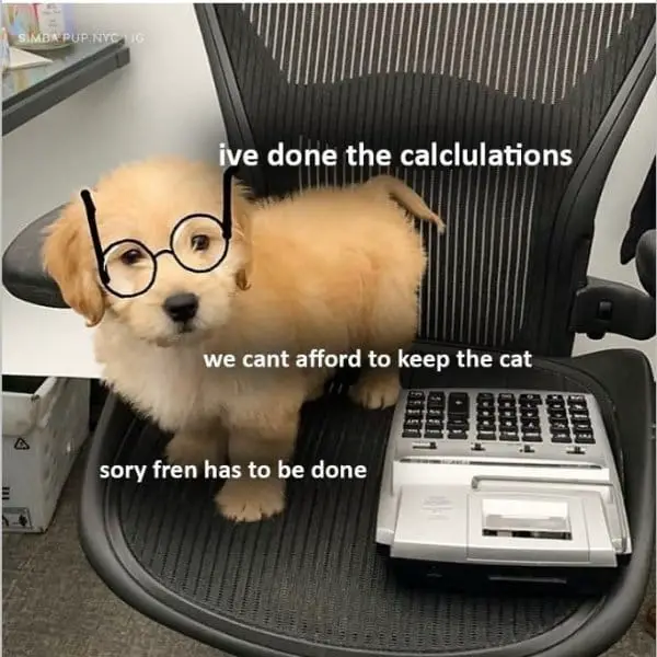 dog meme5