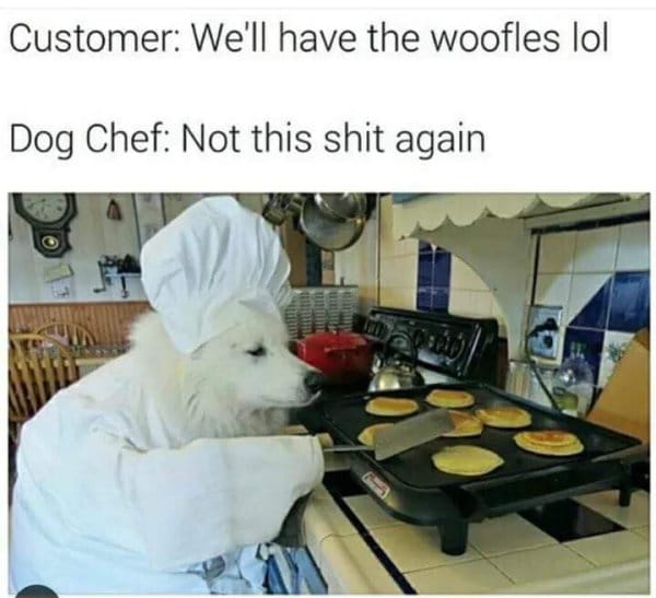 dog memes 16