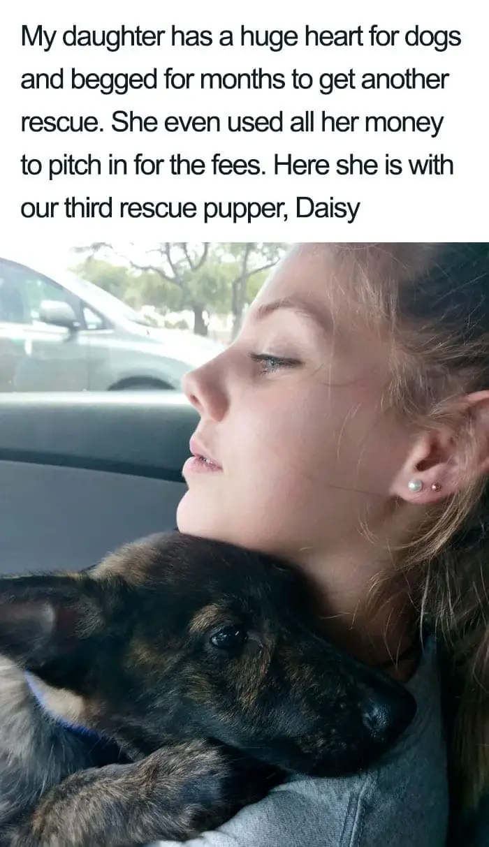 30 Adorable Dog Posts That Are Enough To Make Anyone’s Day 11 doghappy11