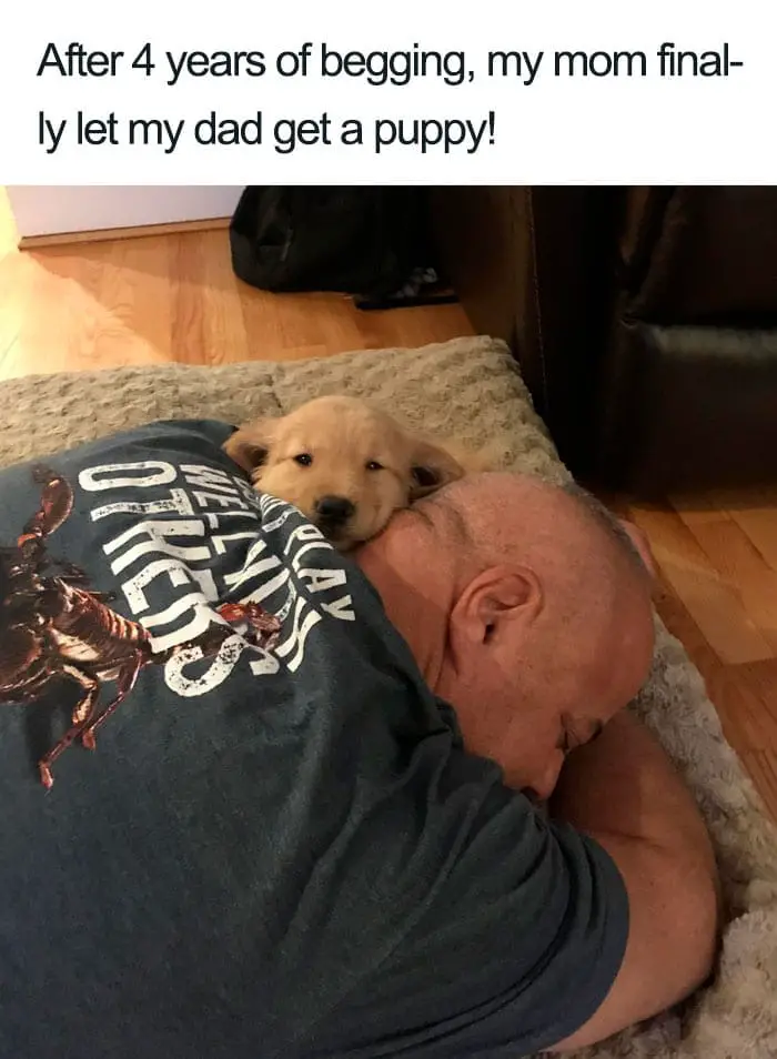 30 Adorable Dog Posts That Are Enough To Make Anyone’s Day 13 doghappy13