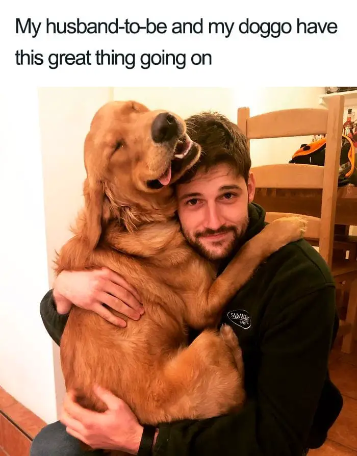30 Adorable Dog Posts That Are Enough To Make Anyone’s Day 20 doghappy20