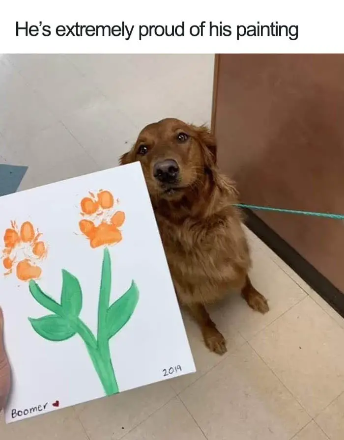 30 Adorable Dog Posts That Are Enough To Make Anyone’s Day 29 doghappy29