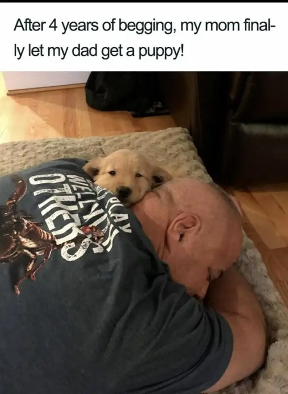 final ly let my dad get a puppy cay e1732324116515