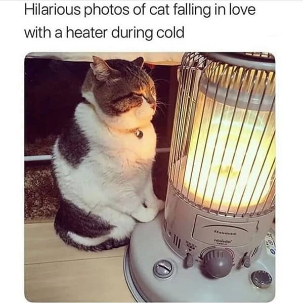 funny memes11