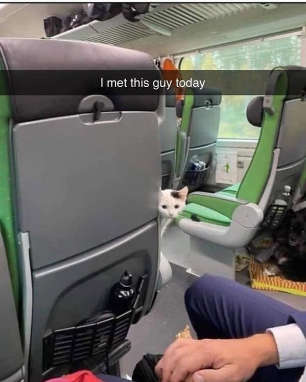 funny memes13